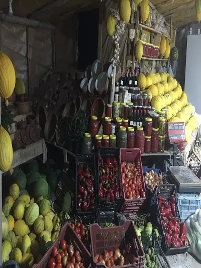 photo of beautifully arranged food