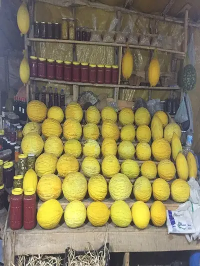 photo of beautifully arranged food